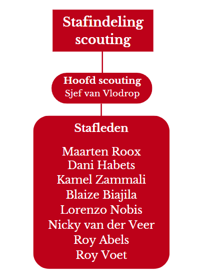 Stafindeling scouting